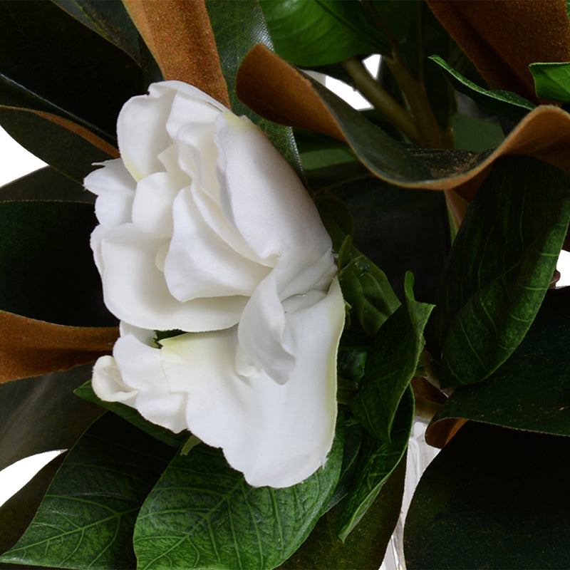 Magnolia, Gardenia Natural Touch Bouquet in Crystal Vase - White