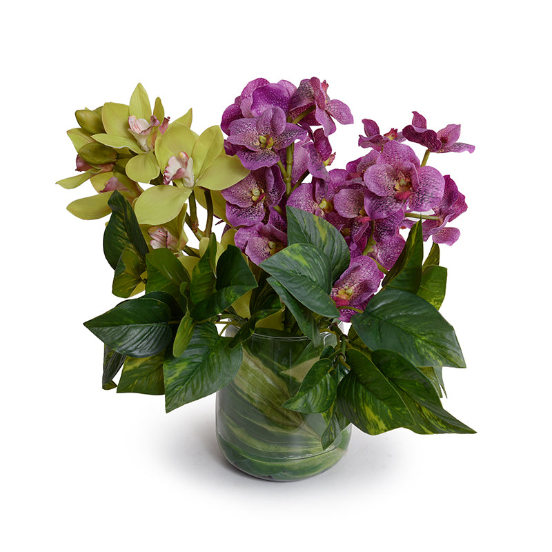 Vanda & Cymbidium Orchids in Leaf Lined Glass 15"H