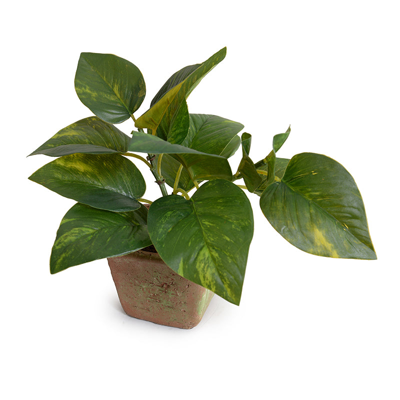 Modern Wholesale Artificial Pothos Plant in Terracotta Pot Indoor 9 Inches Tall - New Growth Designs