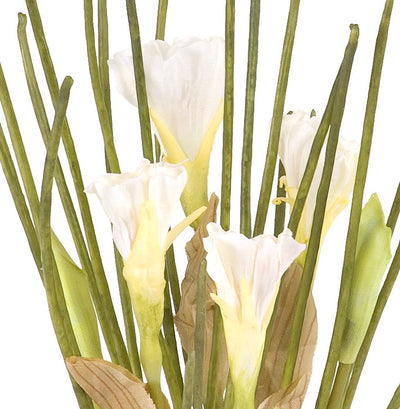 Narcissus Mini-Pot 7"H