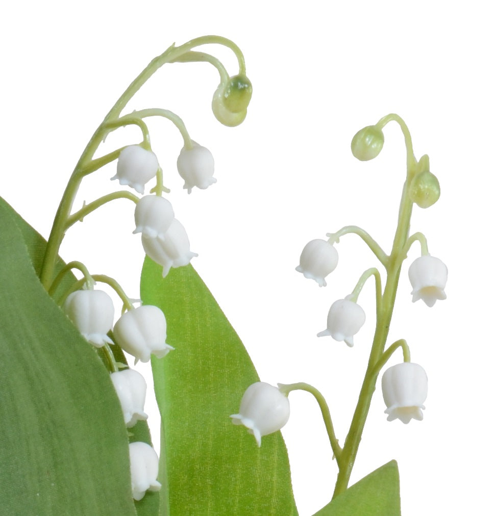 Lily of the Valley Mini Pot