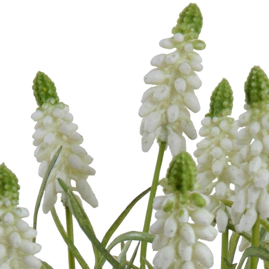 Grape Hyacinth in Terracotta - White - New Growth Designs