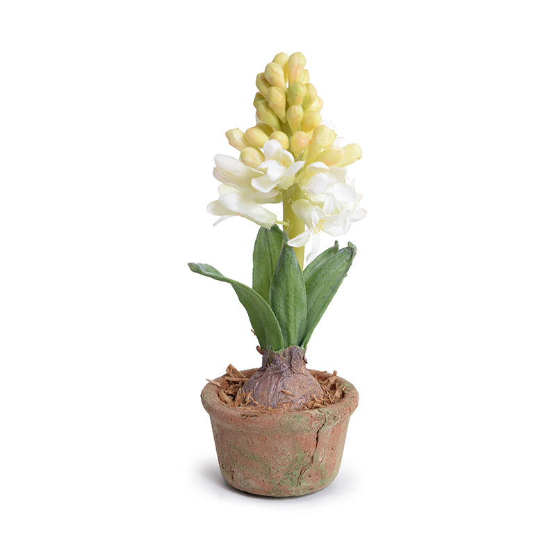 Hyacinth Mini Pot - White