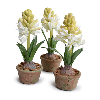 Hyacinth Mini Pot - White