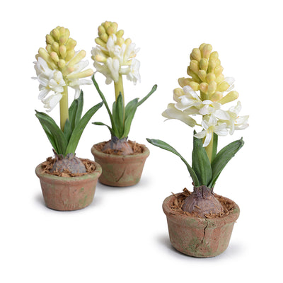 Hyacinth Mini Pot - White