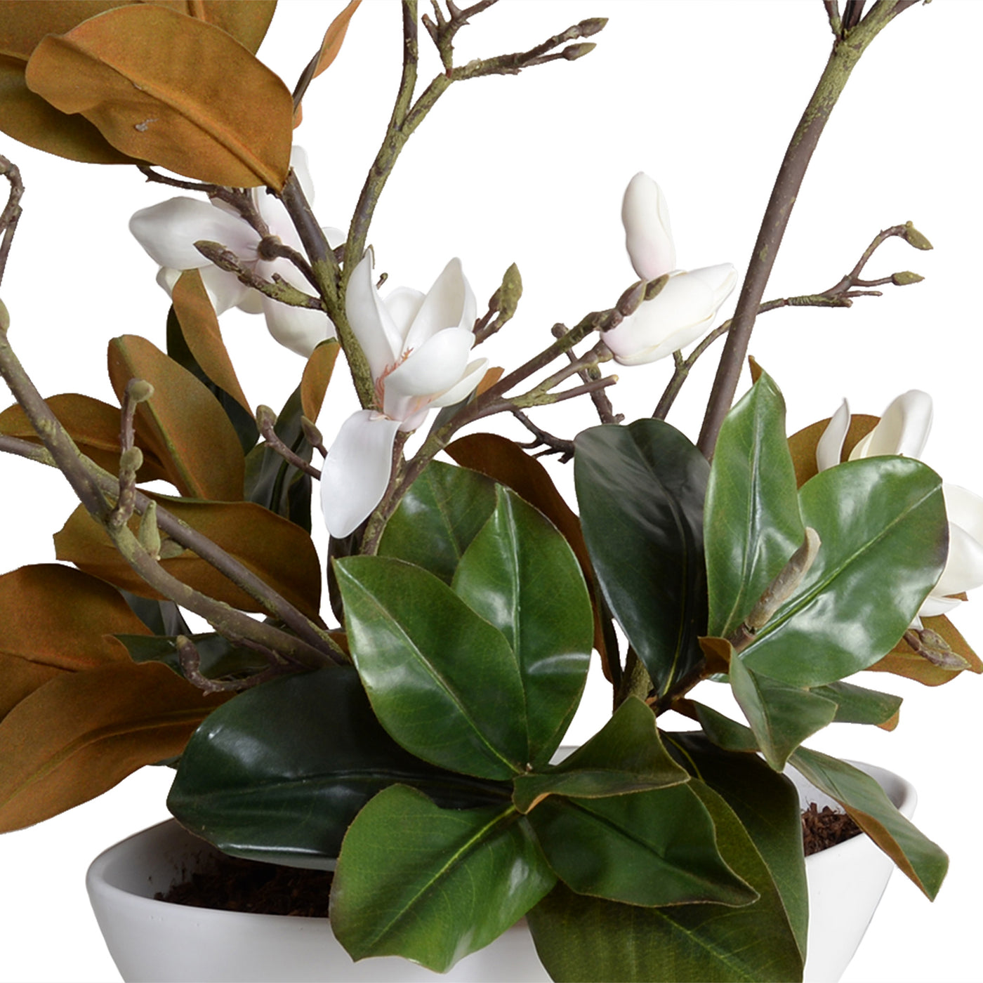 Magnolia blooming branches centerpiece, 40"H - Champagne
