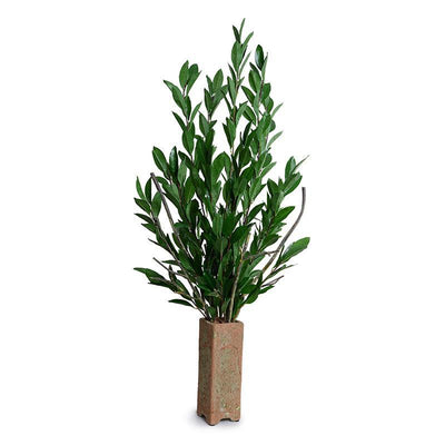 Camellia Branches in Column, 50"H - New Growth Designs
