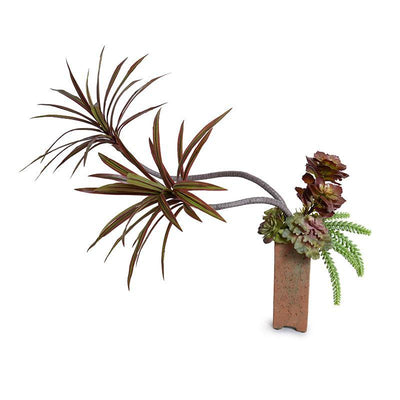 Dracaena Marginata, Succulents in Terracotta Column - New Growth Designs