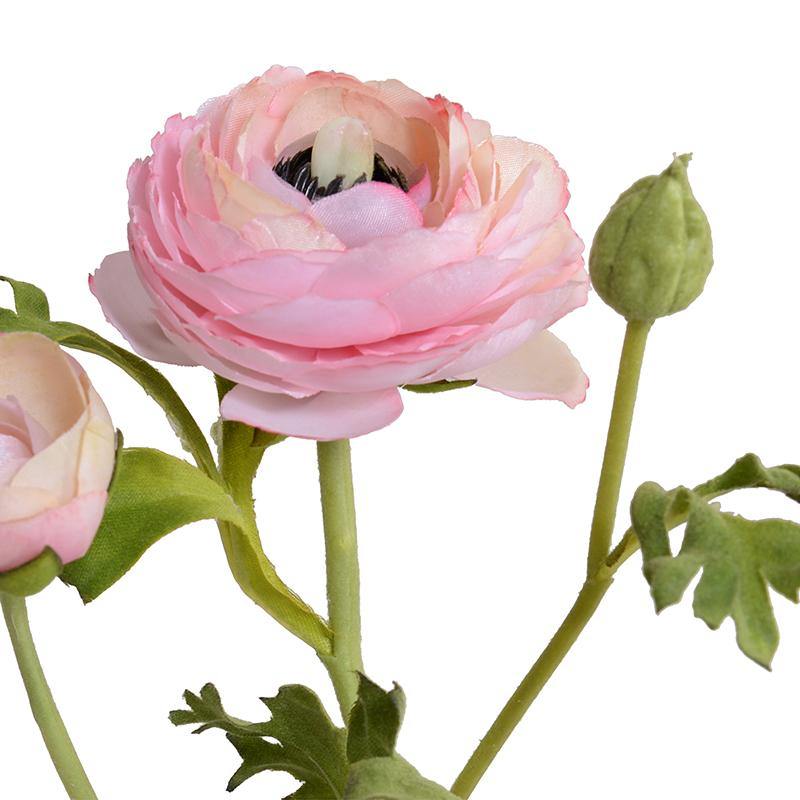 Ranunculus Mini Pot - Pink - New Growth Designs
