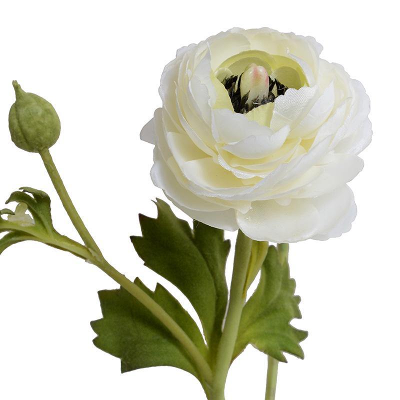 Ranunculus Mini Pot - White - New Growth Designs