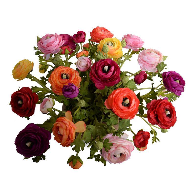 Ranunculus Centerpiece in Terracotta Bowl - Mixed - New Growth Designs