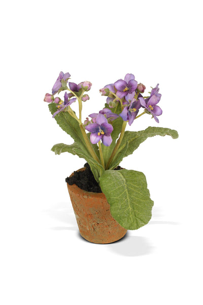 Aricula Mini Pot - Violet - New Growth Designs