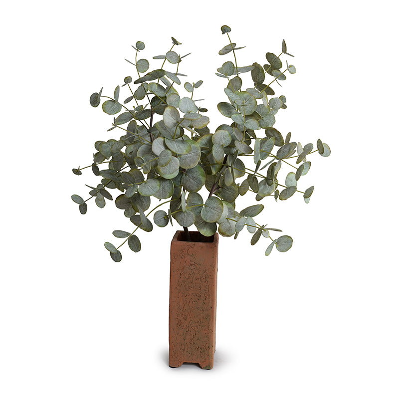 Eucalyptus in Terracotta Column, 33"H