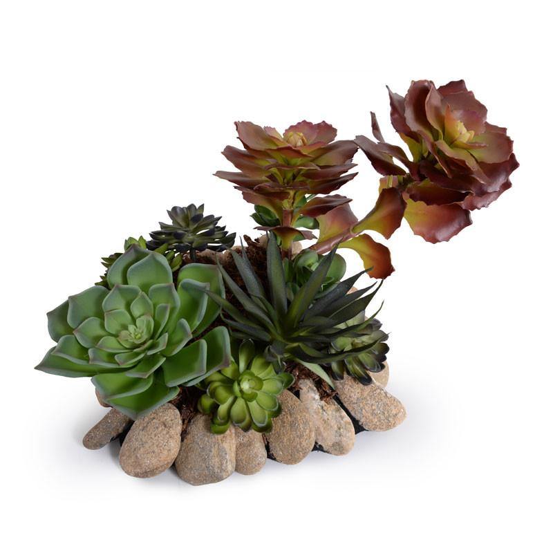 Succulents Rock Garden - New Growth Designs