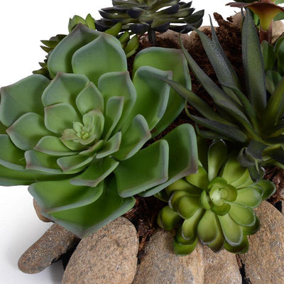 Succulents Rock Garden - New Growth Designs