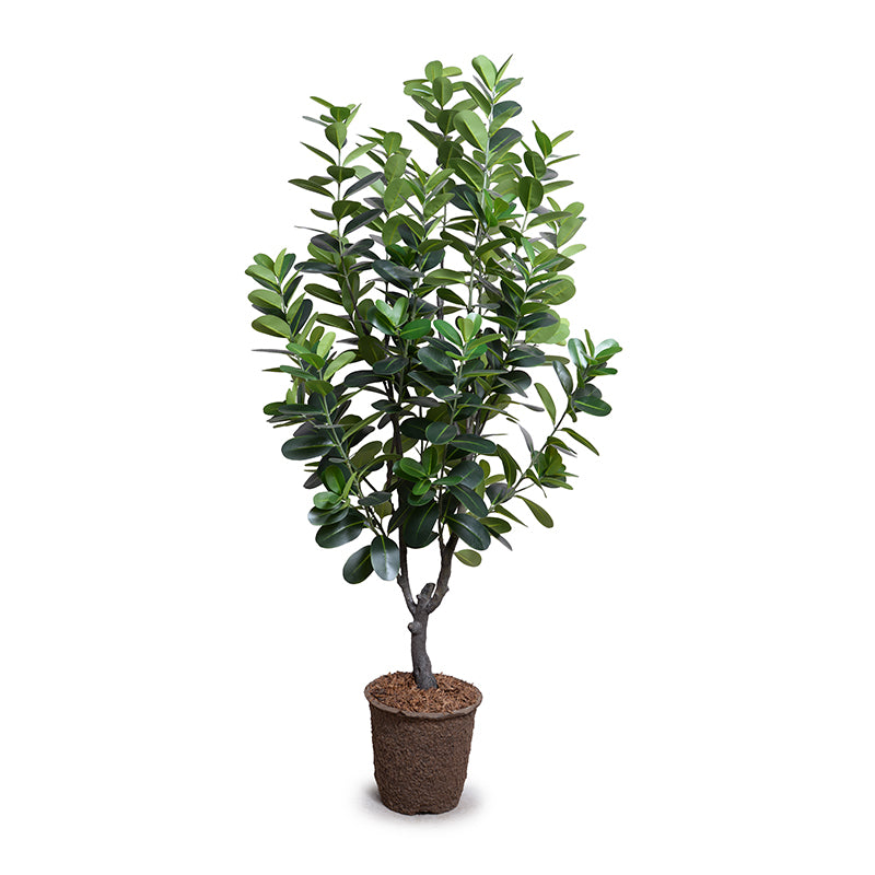 Wholesale Artificial Japanese Fukuji Rubber Tree Indoor 6.5 Foot Tall - New Growth Designs