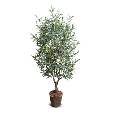 Wholesale Artificial Olive Tree Indoor 5.5 Foot Tall - New Growth Designs