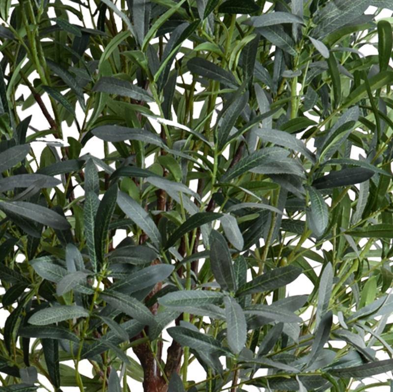 Olive tree, 8' - New Growth Designs