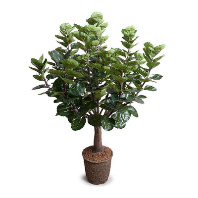 Wholesale Artificial Aralia Balfouriana Tree for Indoor Decor 5 Foot Tall - New Growth Designs