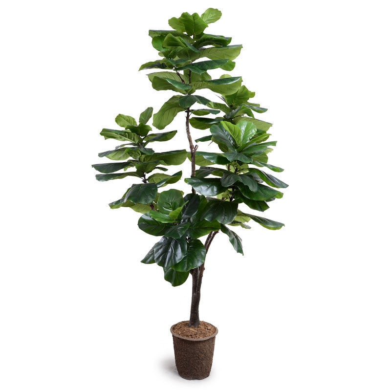 Realistic Faux Fiddle Leaf Fig Tree Indoor 7.5 Foot Tall Standard - New Growth Designs