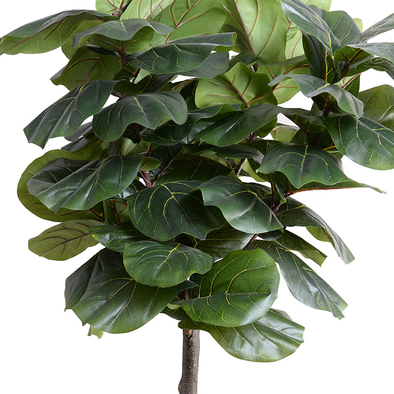 9 ft fiddle leaf fig tree Fiddle Leaf Fig Tree 7.5' – New Growth Designs