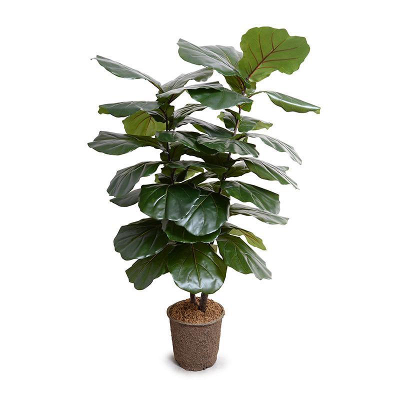 Realistic Large-Leaf Artificial Fiddle Leaf Fig Tree Indoor 64 Inches Tall - New Growth Designs