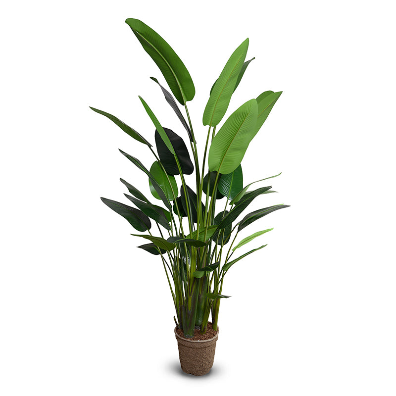Traveller's Luxe High-Quality Wholesale Faux Palm Tree for Indoor Decor 10 Foot Tall - New Growth Designs