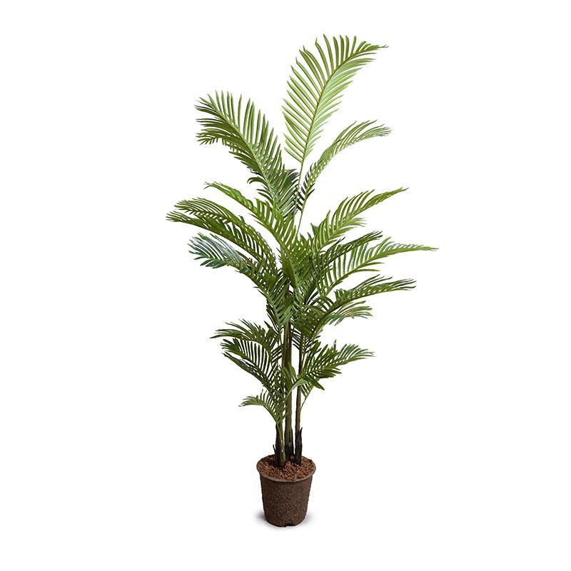 Wholesale Artificial Areca Palm Tree Indoor 6 Foot Tall - New Growth Designs