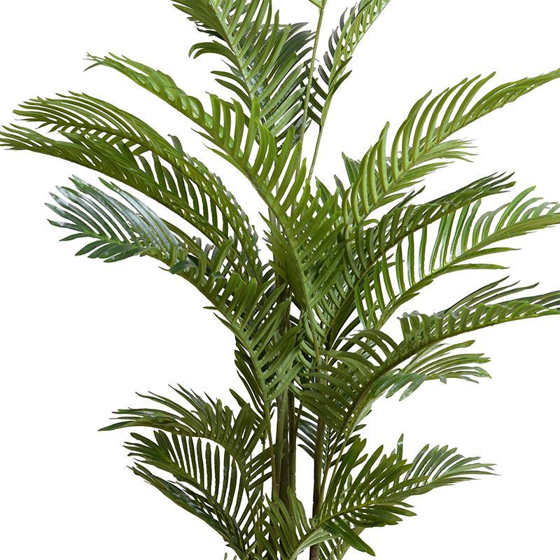areca palm new growth Areca Palm Tree 6' – New Growth Designs