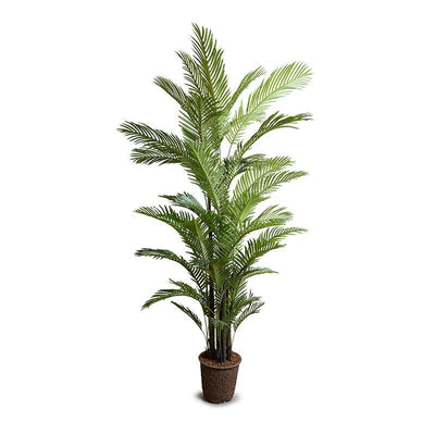 Realistic Wholesale Faux Areca Palm Tree Indoor 8 Foot Tall - New Growth Designs