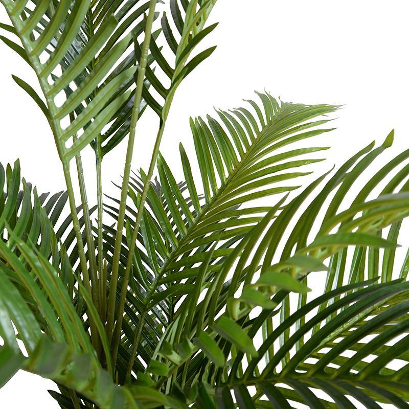 4865 areca palm st Areca Palm Tree 8' – New Growth Designs