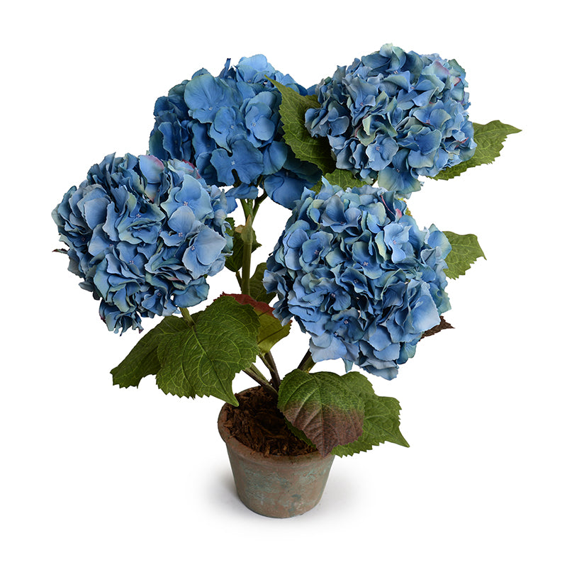Hydrangea Bush, Small, 22"H - Blue