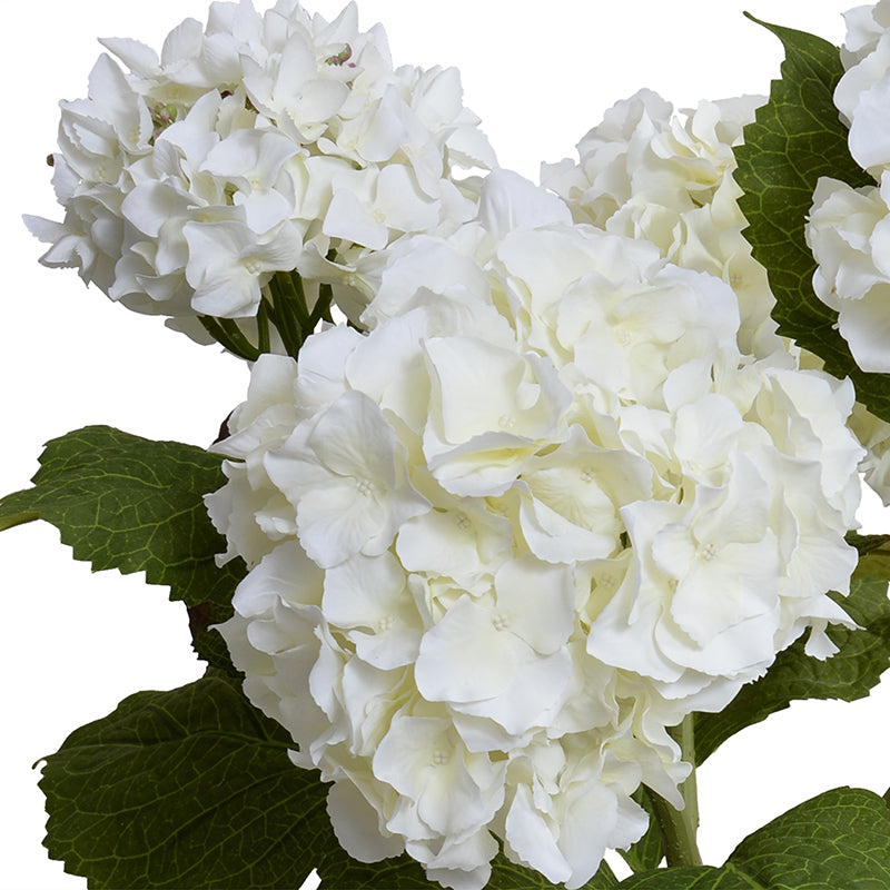 Hydrangea Bush, Small, 22"H - White