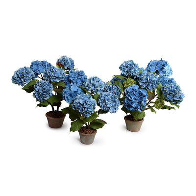Hydrangea Bush, Medium, 25"H - Blue