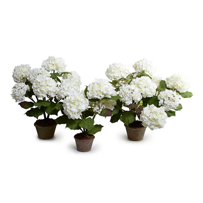 Hydrangea Bush, Large, 25"H - White