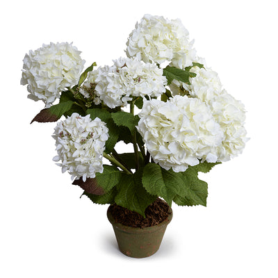 Hydrangea Bush, Medium, 25"H - White