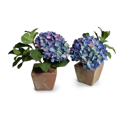 Hydrangea Cutting in Terracotta - Blue - New Growth Designs