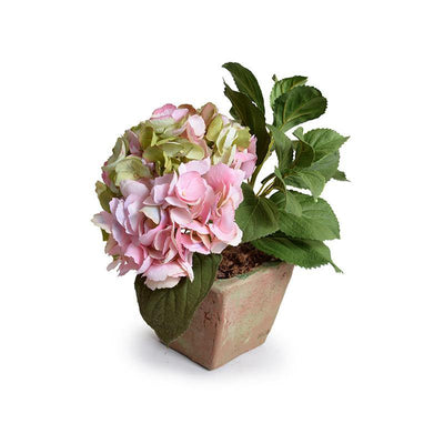 Hydrangea Cutting in Terracotta - Pink-Green - New Growth Designs
