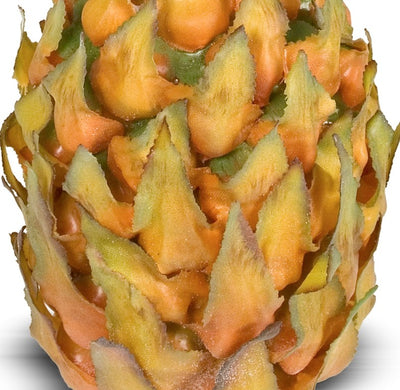 Pineapple, small