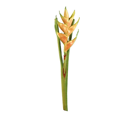 Heliconia Branch - New Growth Designs