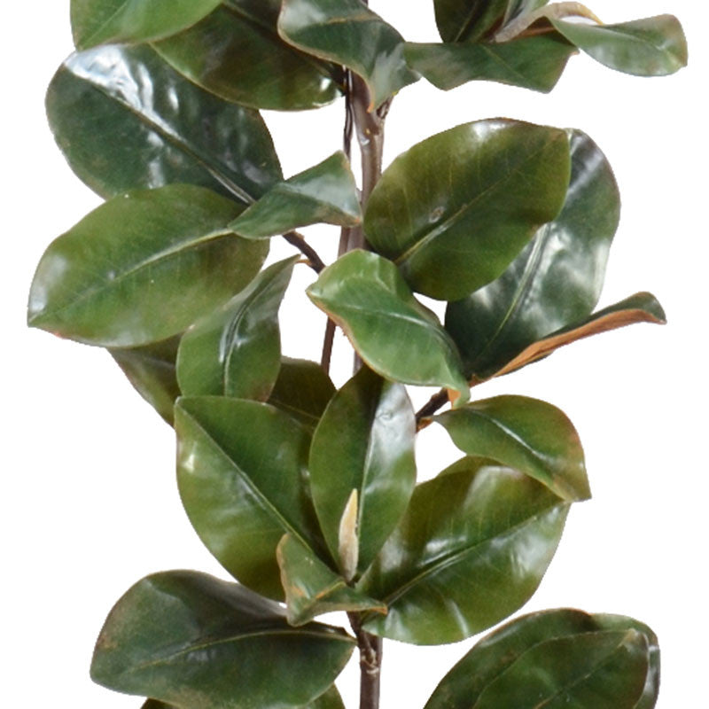 6' Magnolia Leaf Garland, Classic - New Growth Designs