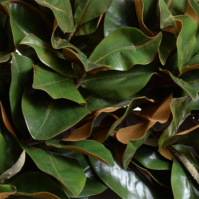 Magnolia Leaf Hand-built Grand Luxe Wreath 36"