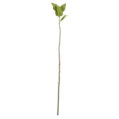 Hydrangea Leaf Stem, 45" L - New Growth Designs