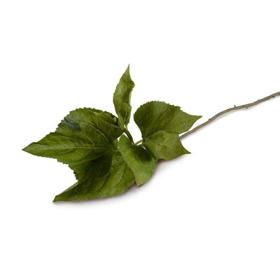 Hydrangea Leaf Stem - New Growth Designs