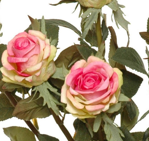 Rose Stem, 25" - Pink-Green