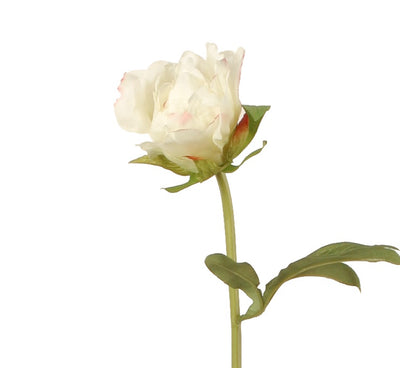 Peony Bud Stem with Leaves, 31" -White
