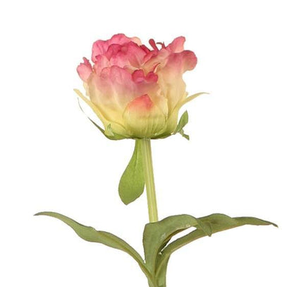 Peony Bud Stem with Leaves, 31" - New Growth Designs