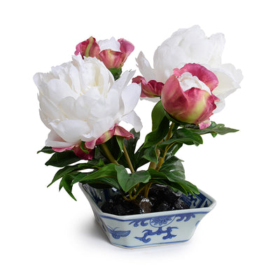 Peony Cutting in Blue & White - White