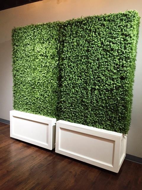 Boxwood Custom-Made Hedges - New Growth Designs