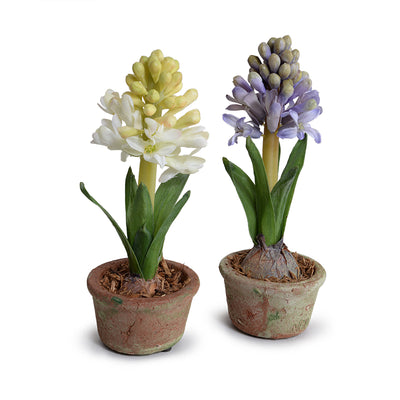 Hyacinth Mini Pot - White